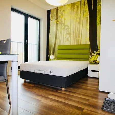 Ksiecia Witolda 43 Apartmán Vratislav